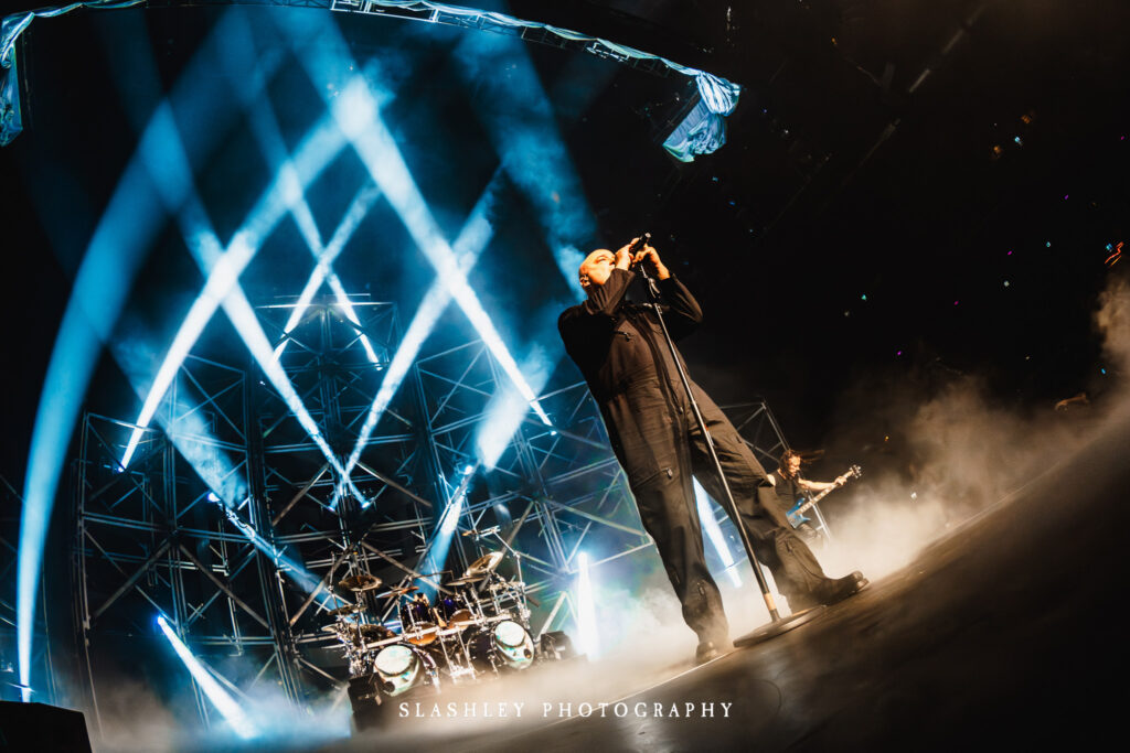Disturbed