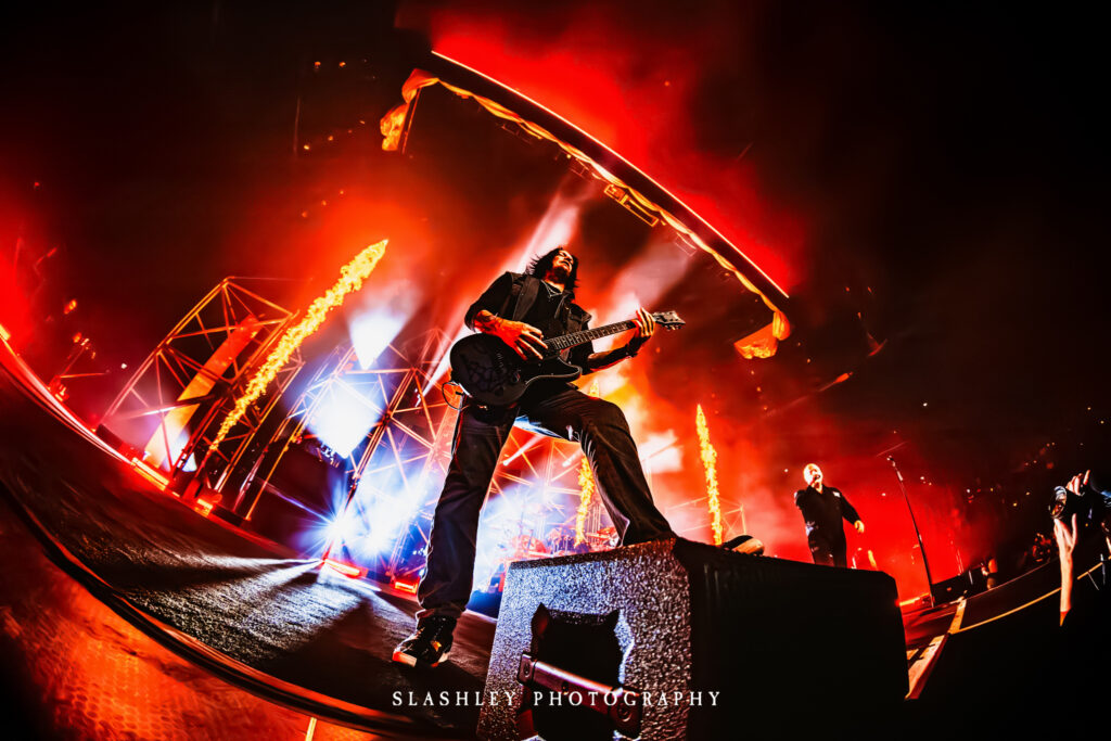 Disturbed