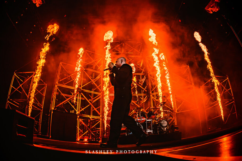 Disturbed